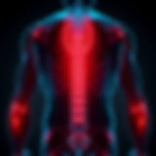 Understanding Discogenic Lower Back Pain Introduction