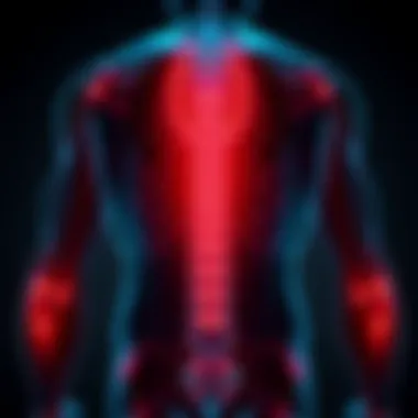 Understanding Discogenic Lower Back Pain Introduction Understanding Discogenic Lower Back Pain Introduction