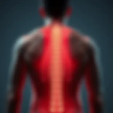 Notable Understanding Discogenic Lower Back Pain Notable Understanding Discogenic Lower Back Pain