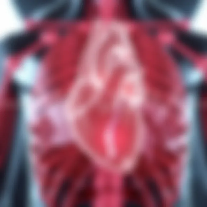 Diagram illustrating the electrical conduction system of the heart