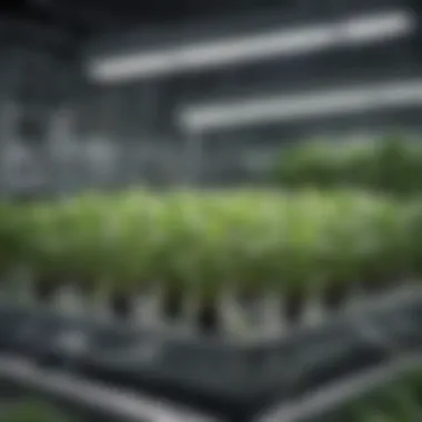 Understanding Electrical Conductivity in Hydroponics Visual representation of electrical conductivity (EC) in hydroponic setups