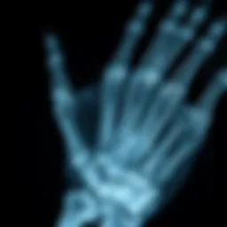 X-ray image showcasing intricate bone structures