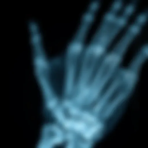X-ray image showcasing intricate bone structures