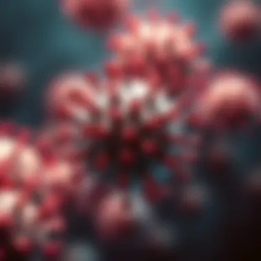 Understanding High Viral Load in HIV: Implications and Considerations Summary Understanding High Viral Load in HIV: Implications and Considerations Summary