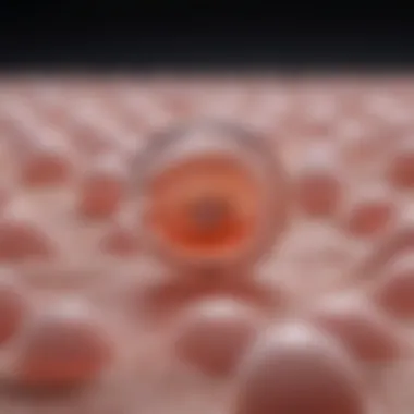 Assisted Reproductive Technologies Overview Visual representation of assisted reproductive technologies