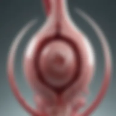 Success Rates of Intrauterine Insemination Infographic on IUI success rates