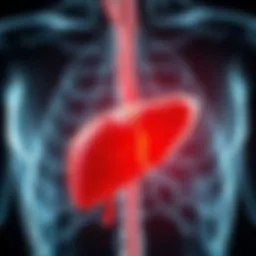 Understanding Liver Symptoms: A Comprehensive Overview Introduction