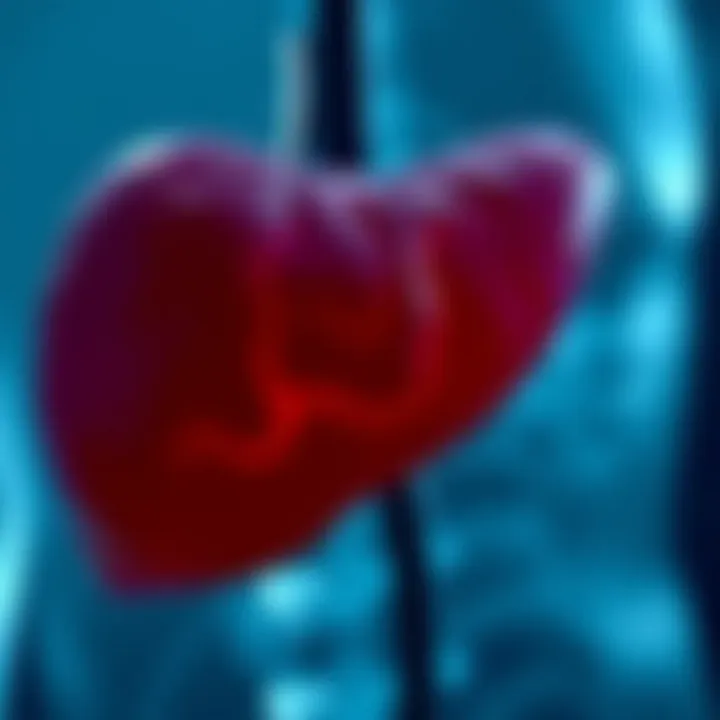 Notable Understanding Liver Symptoms: A Comprehensive Overview