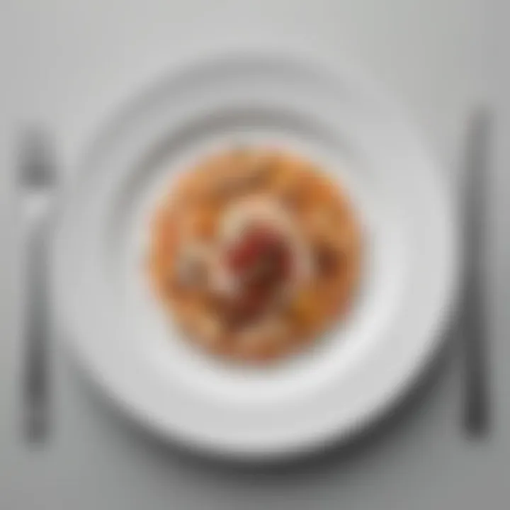 A close-up view of a plate with a small portion of food, symbolizing loss of appetite.