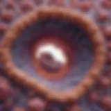 Illustration of medullary thyroid cancer cellular structure