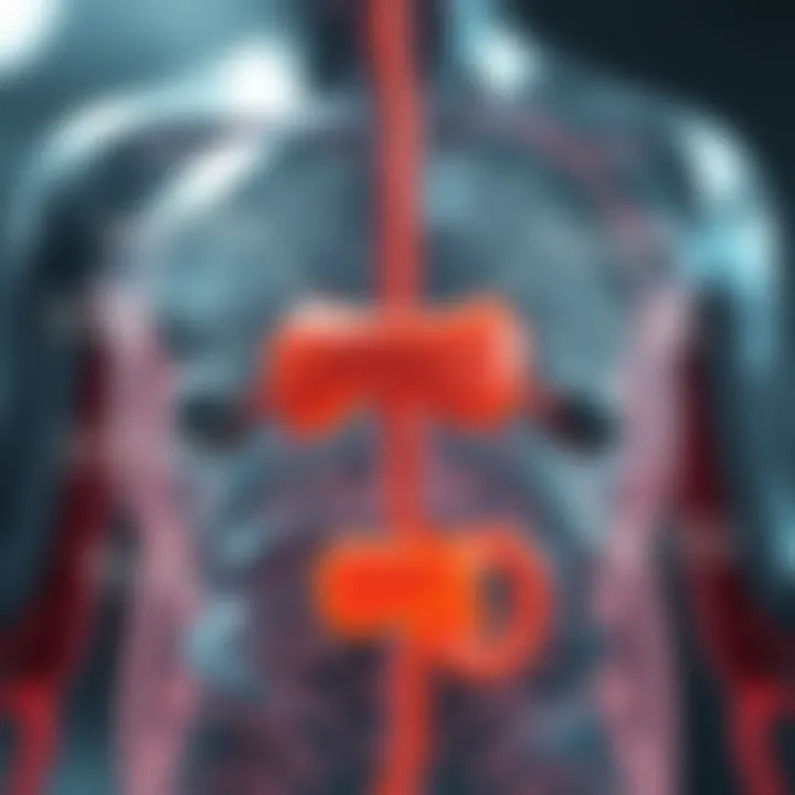 Diagram showing the causes of pancreatic insufficiency