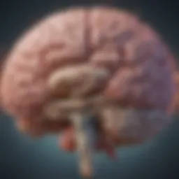 Detailed diagram of the brain highlighting areas affected by Parkinson's disease.