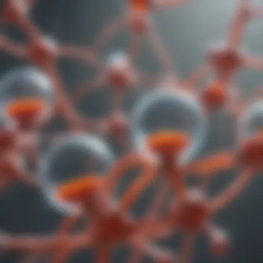 Illustration showcasing the structure of various polyatomic ions