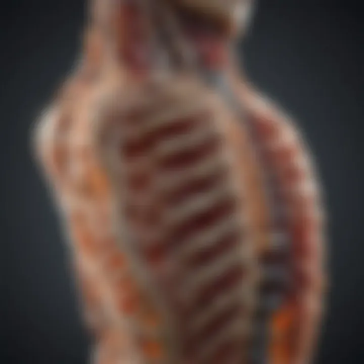 Diagram illustrating degenerative changes in the spine