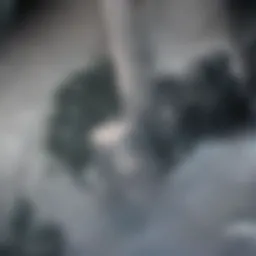 Examination of discharge samples under a microscope