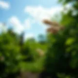 Understanding the Climate of the Mid-Atlantic Region Introduction