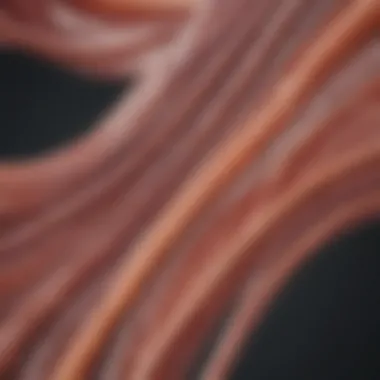 Composition of Cardiac Muscle Fibers Close-up of cardiac muscle fibers showcasing their unique composition