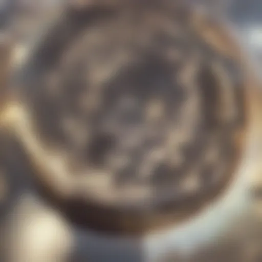 Close-up of soybeans highlighting their natural origin