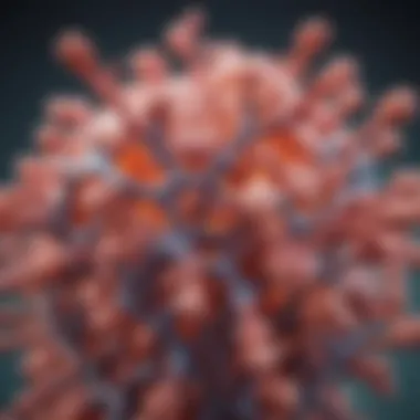 Structure of the PAH Gene in Phenylketonuria Detailed illustration of the PAH gene structure