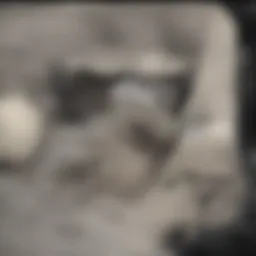 Illustration of prostate scoring methodologies