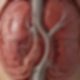 Diagram illustrating the physiological changes in kidney failure