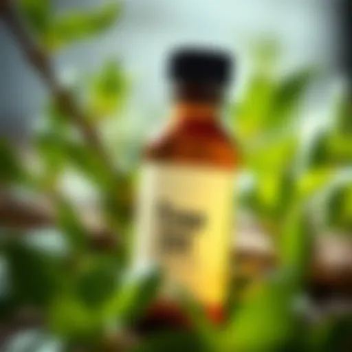 Tea tree oil in a glass bottle surrounded by fresh leaves