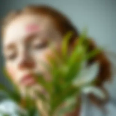 Transformative Effects on Skin Rashes Before and after images showing skin rash improvement with tea tree oil