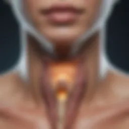Detailed view of a thyroid nodule scan highlighting imaging techniques