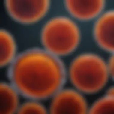 Microscopic view of microbial interactions on tryptic soy agar