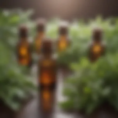 A close-up view of essential oil bottles surrounded by fresh herbs.